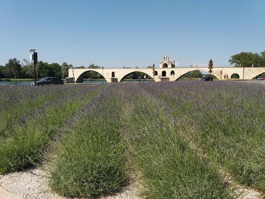 Apartment Appartement Proche Des Halles 1 Avignon France